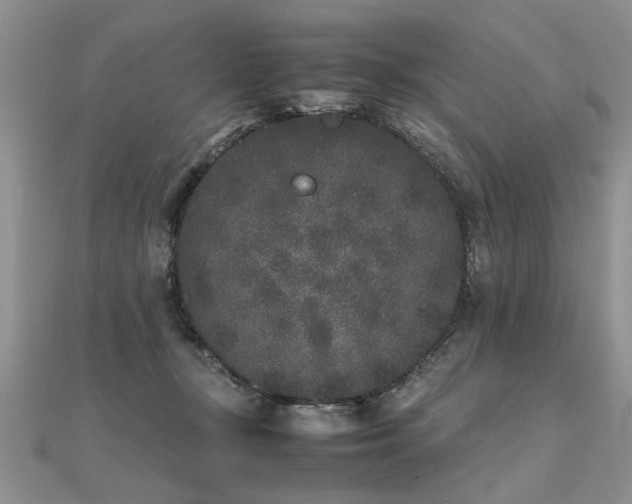 X0000112040367200908101406