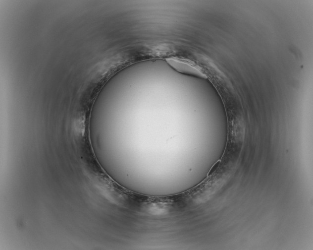 X0000112040368200908101406