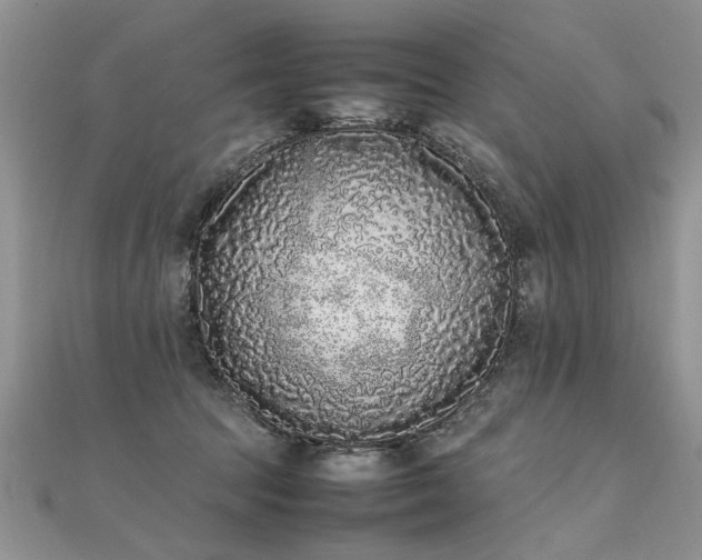 X0000112040369200908101406