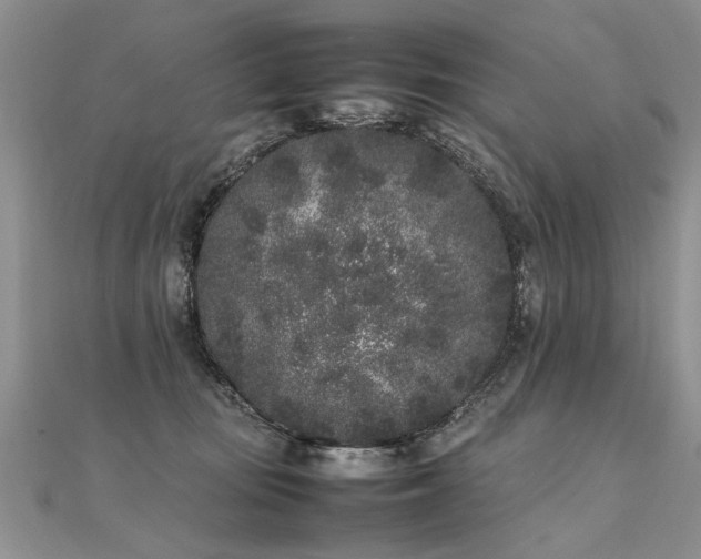 X0000112040371200908101406