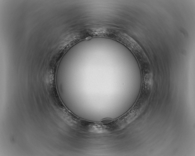 X0000112040372200908101406