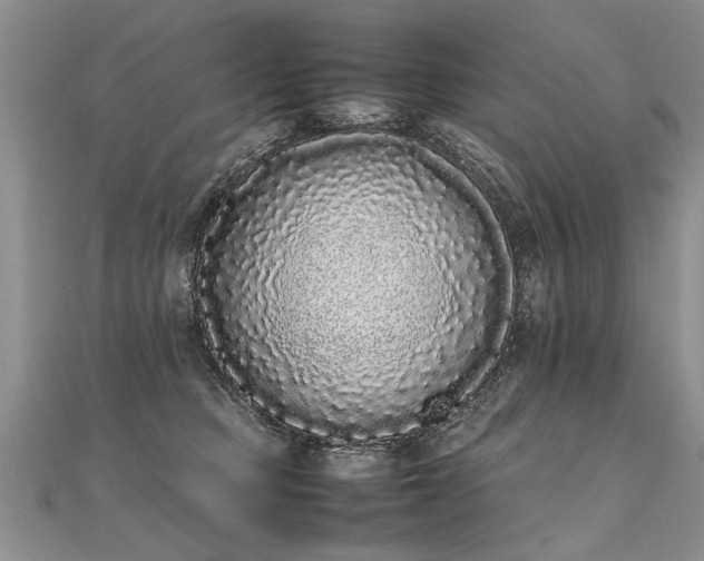 X0000112040373200908101406