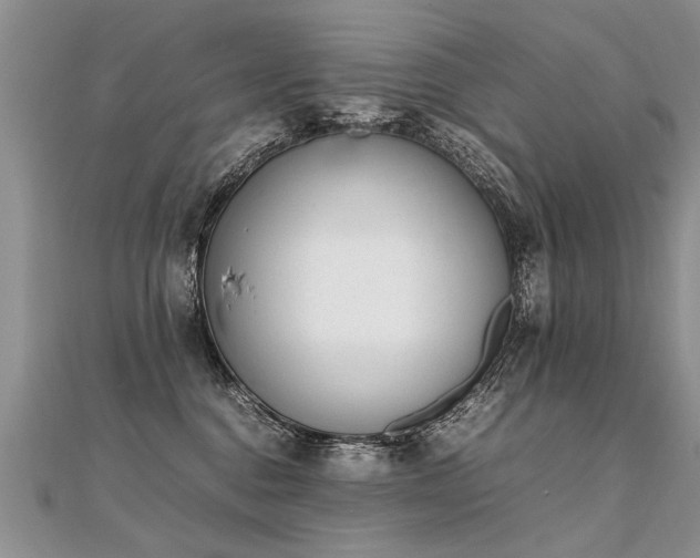 X0000112040376200908101407