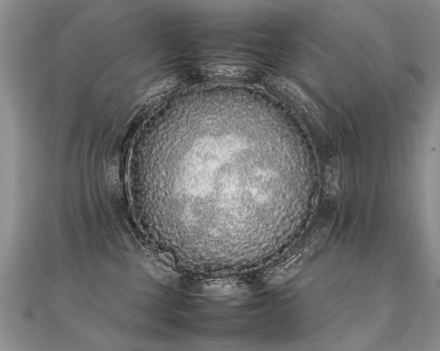 X0000112040377200908101407