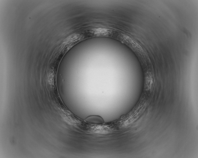 X0000112040379200908101407