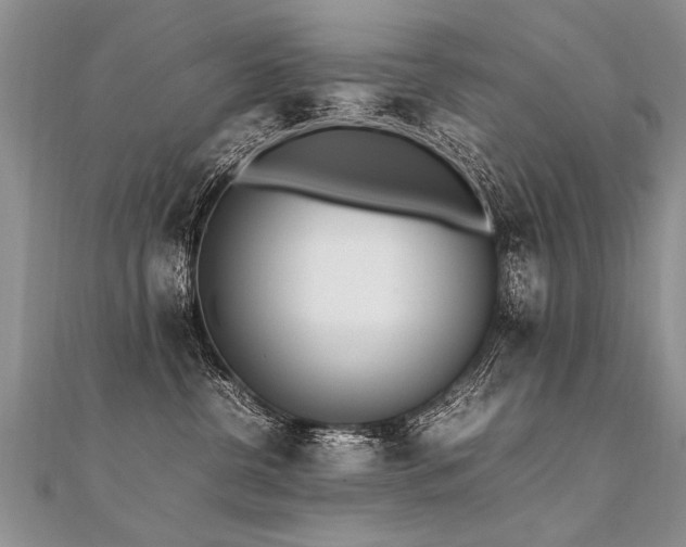 X0000112040380200908101407