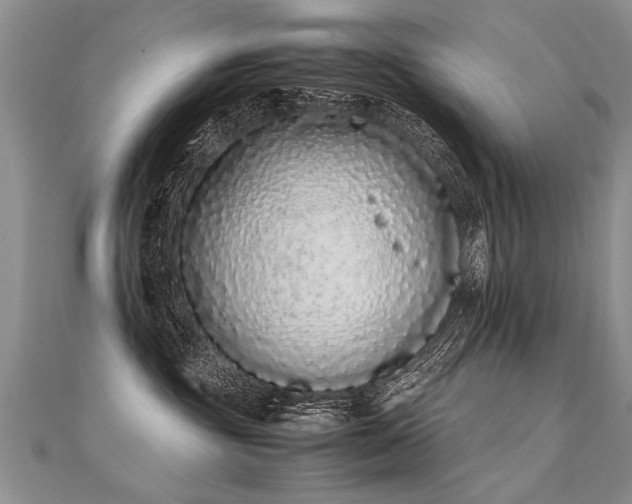 X0000112040381200908101407