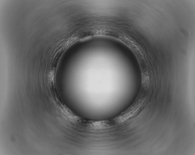 X0000112040382200908101407