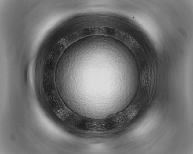 X0000112040383200908101407