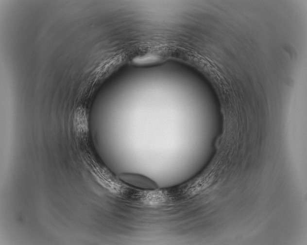 X0000112040384200908101407
