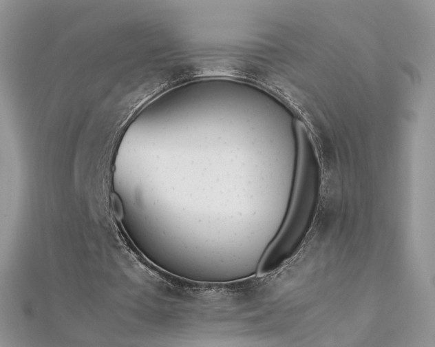 X0000112040385200908101406
