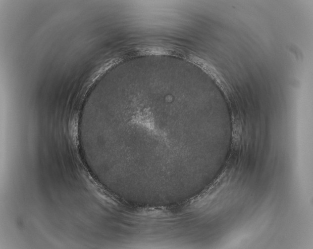 X0000112040386200908101406