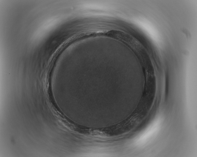 X0000112040387200908101406