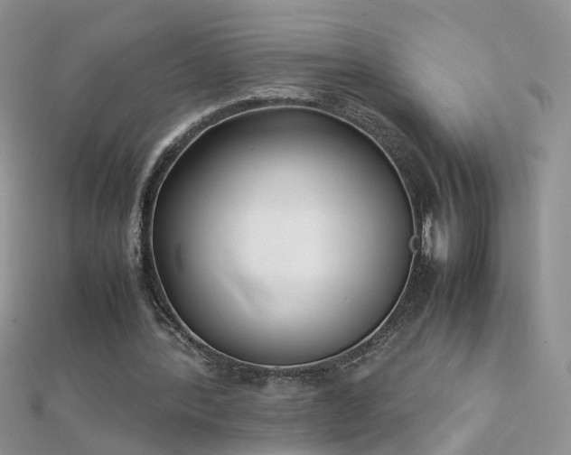 X0000112040388200908101406