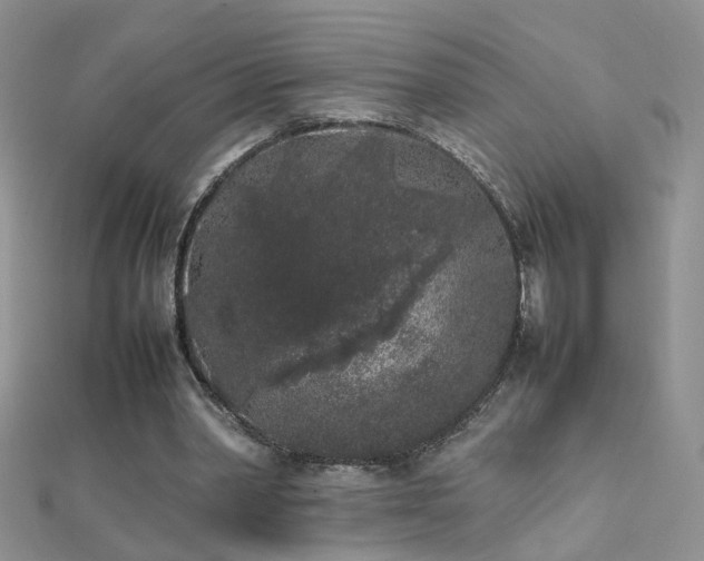 X0000112040390200908101406