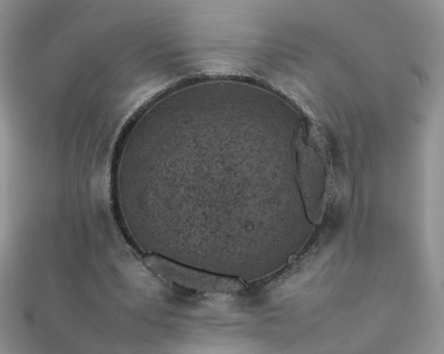 X0000112040391200908101406