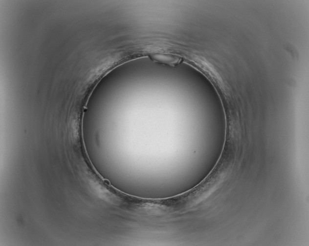 X0000112040393200908101406