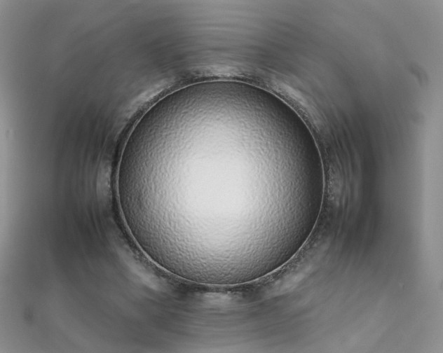 X0000112040394200908101406