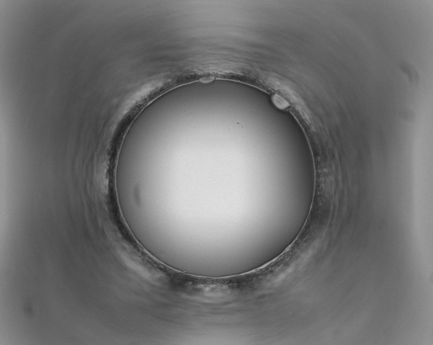 X0000112040395200908101406