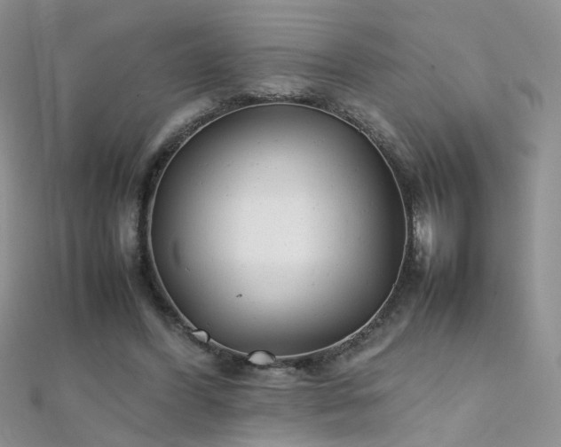 X0000112040396200908101406
