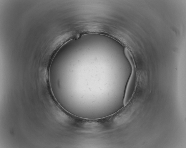 X0000112040397200908101406