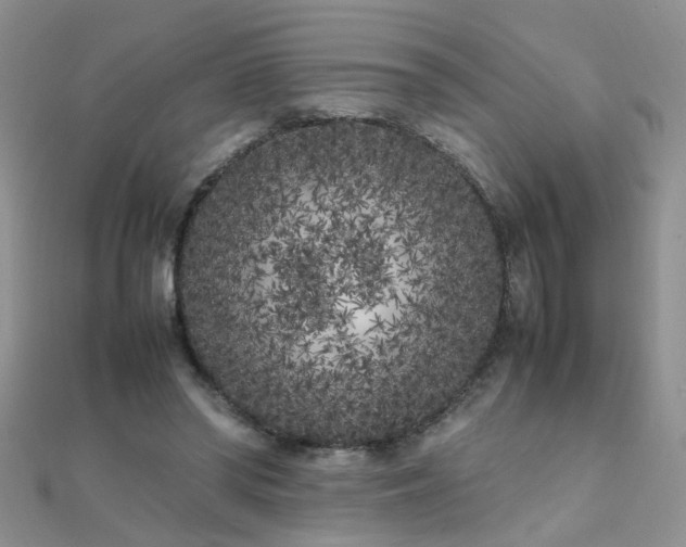 X0000112040398200908101406