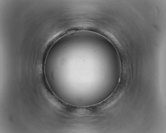 X0000112040399200908101406