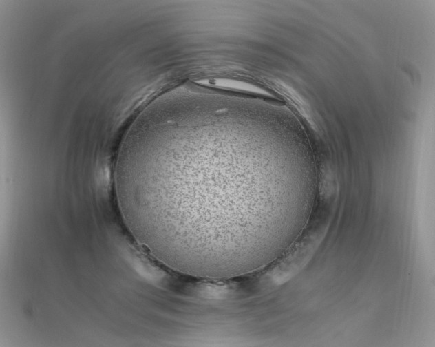 X0000112040405200908101406