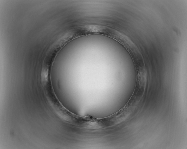 X0000112040406200908101406