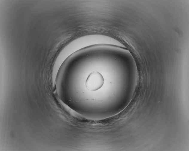 X0000112040407200908101406