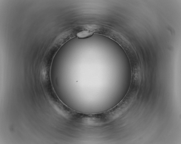X0000112040408200908101406