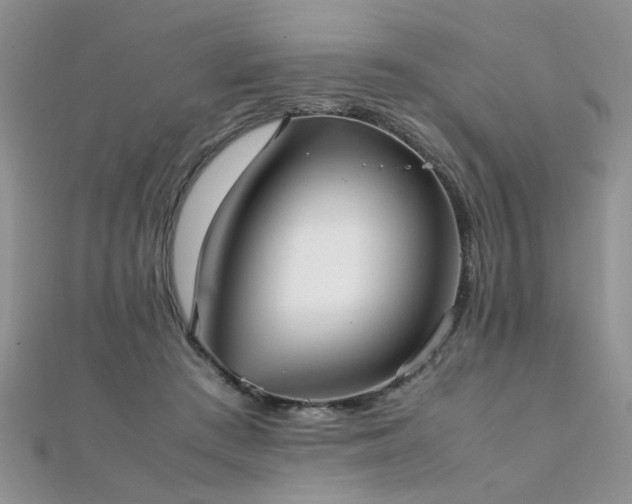 X0000112040409200908101406