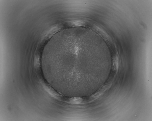 X0000112040410200908101406