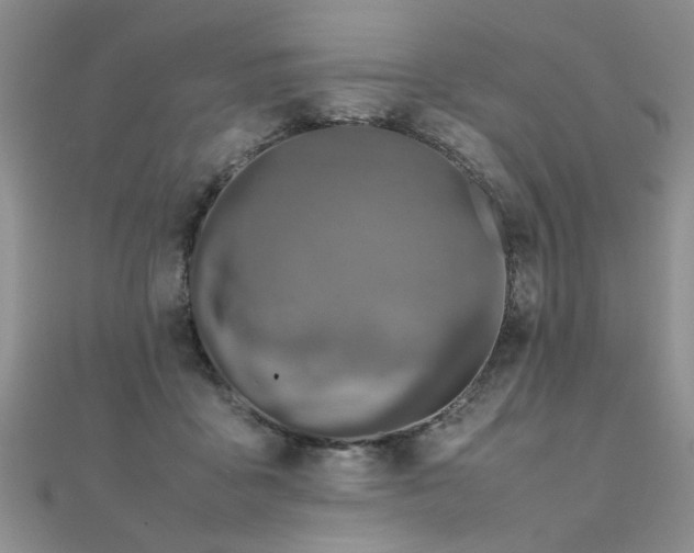 X0000112040411200908101406