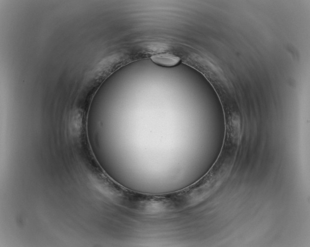 X0000112040412200908101406