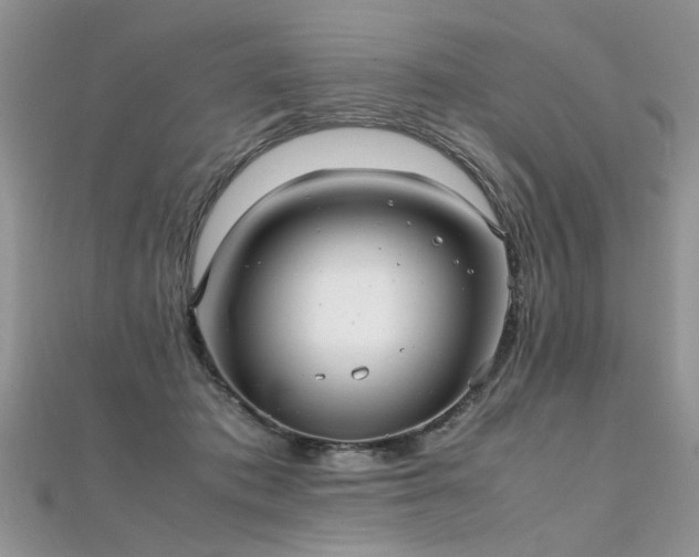 X0000112040413200908101406