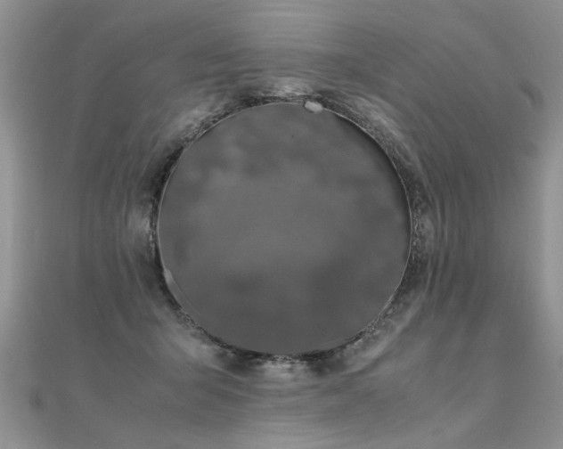X0000112040415200908101406