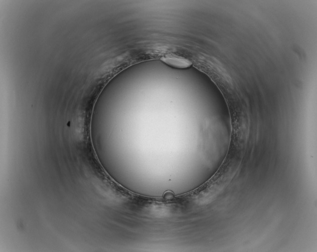 X0000112040416200908101406