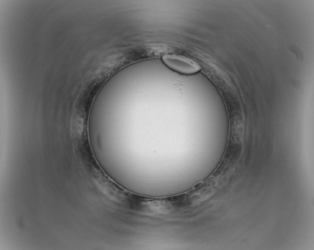 X0000112040417200908101406