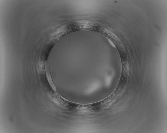 X0000112040419200908101405