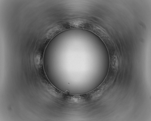 X0000112040420200908101405