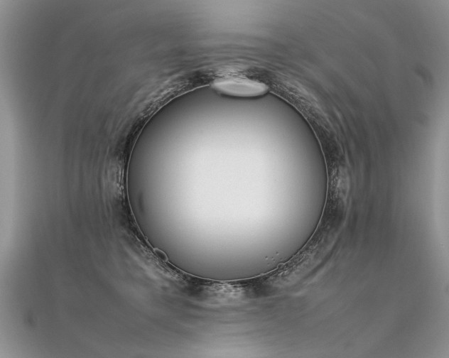 X0000112040421200908101405