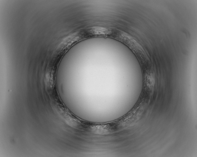 X0000112040422200908101405