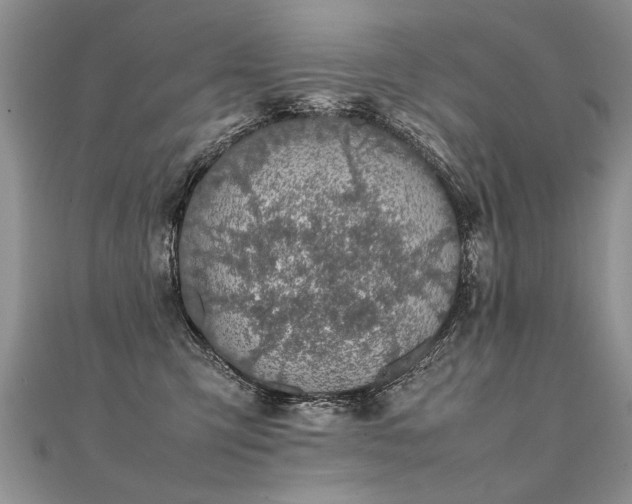 X0000112040423200908101405