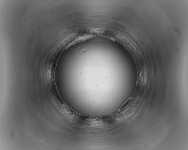 X0000112040424200908101405