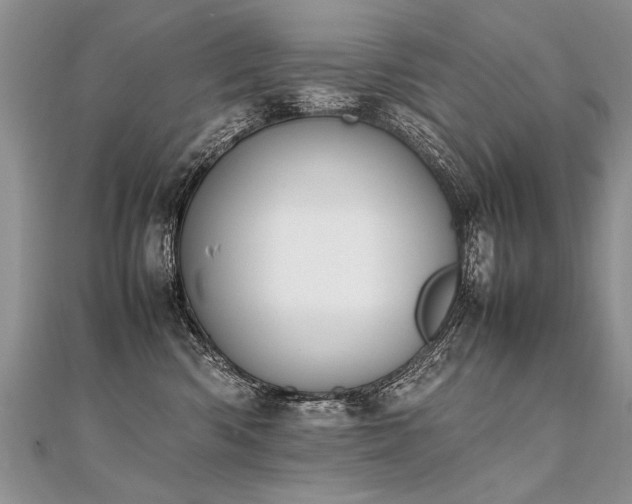 X0000112040426200908101405