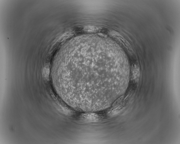 X0000112040427200908101405