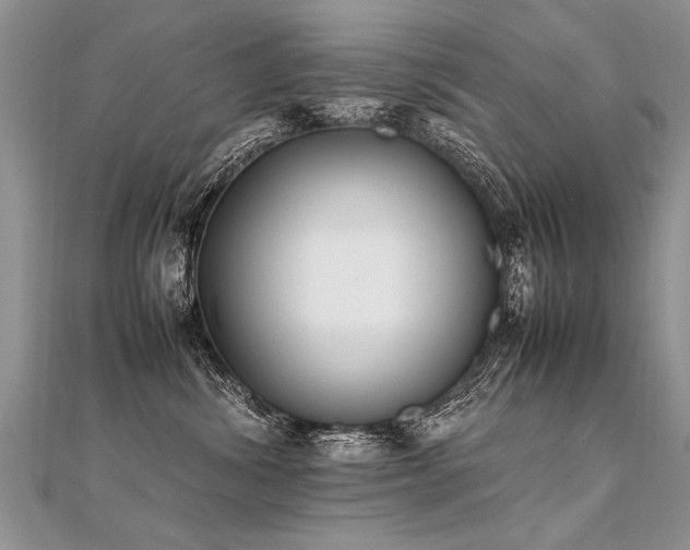 X0000112040428200908101405