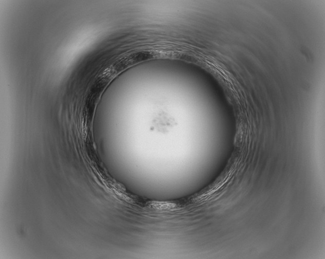 X0000112040429200908101405