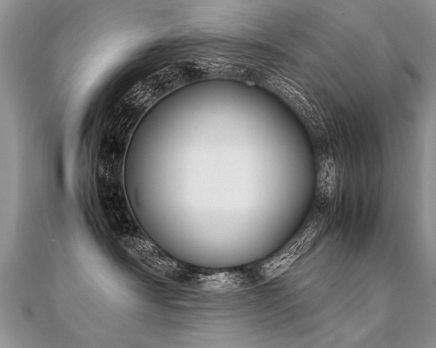 X0000112040430200908101405